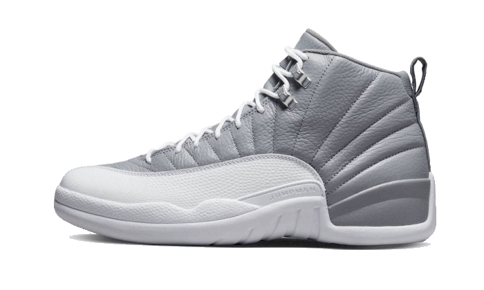 Air Jordan Air Jordan 12 Stealth - CT8013-015 / 153265-015