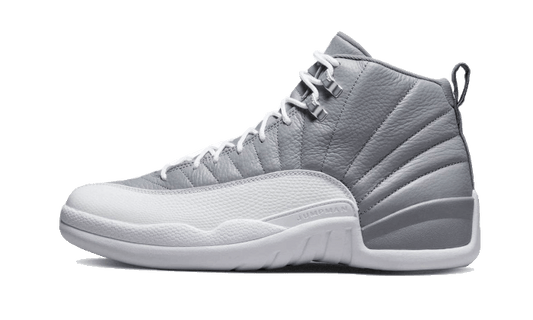 Air Jordan Air Jordan 12 Stealth - CT8013-015 / 153265-015