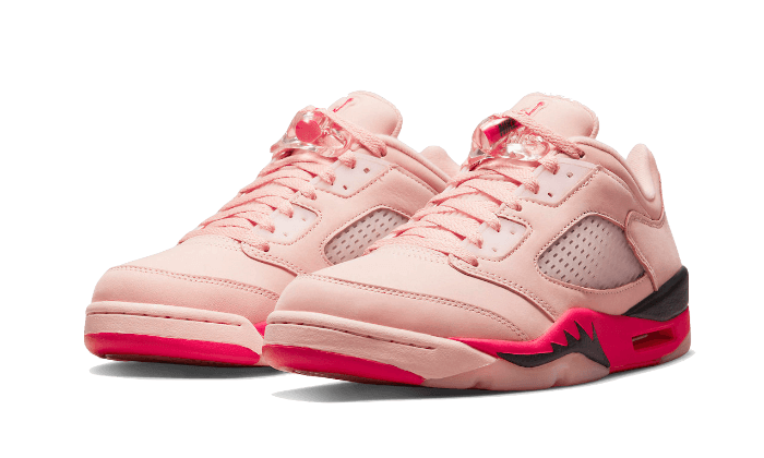 Air Jordan Air Jordan 5 Low Arctic Pink - DA8016-806