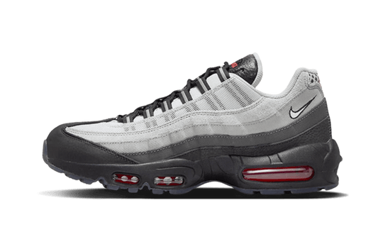 Nike Nike Air Max 95 PRM Fish Scales - DQ3979-001