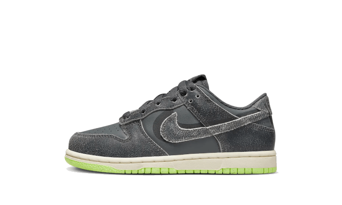 Nike Nike Dunk Low Swoosh Shadow Iron Grey Enfant (PS) - DQ6216-001