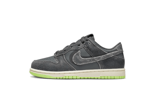 Nike Nike Dunk Low Swoosh Shadow Iron Grey Enfant (PS) - DQ6216-001