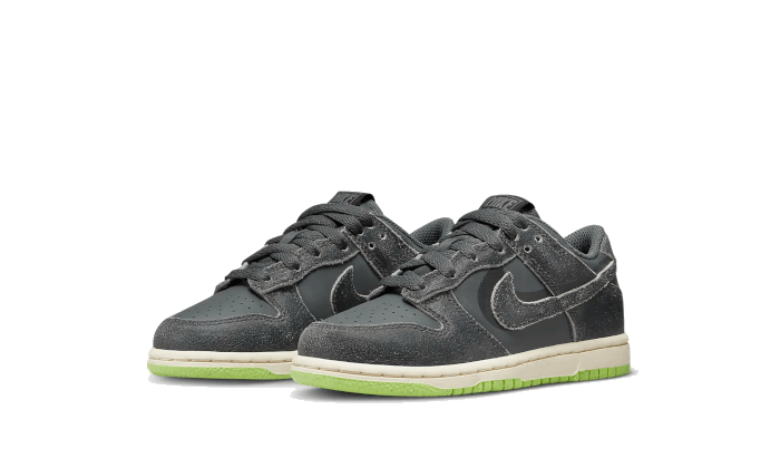 Nike Nike Dunk Low Swoosh Shadow Iron Grey Enfant (PS) - DQ6216-001