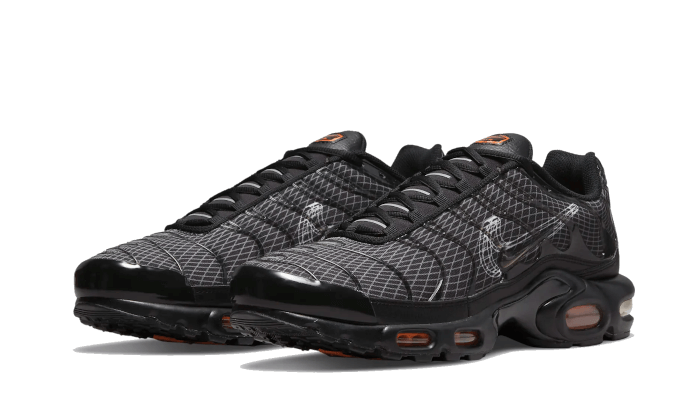 Nike Nike Air Max Plus 3D Swoosh Black - DR0138-001