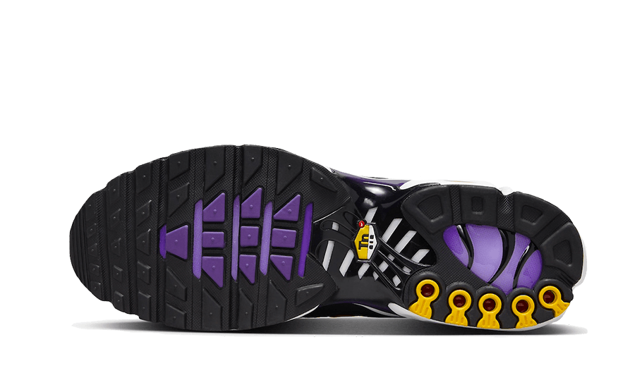 Nike Nike Air Max Plus Voltage Purple - CD0609-024 / DX0755-500