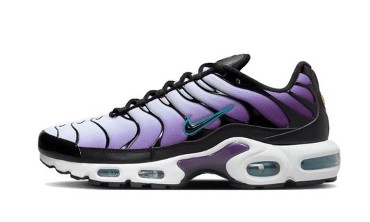 Nike Nike Air Max Plus Reverse Grape - FQ2415-500