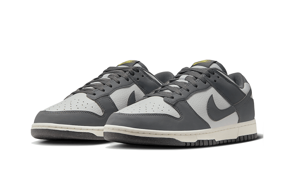 Nike Nike Dunk Low Next Nature Iron Grey Lightning - FZ4621-001