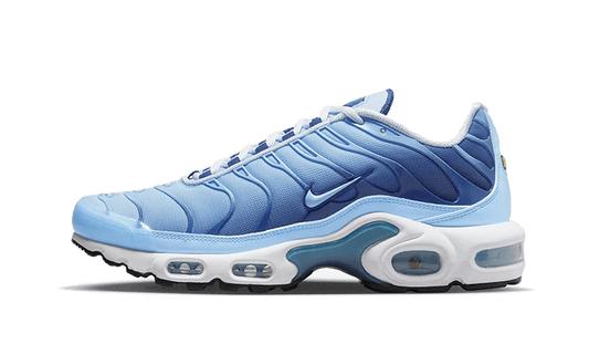 Nike Nike Air Max Plus University Blue Gradient - FJ4736-400