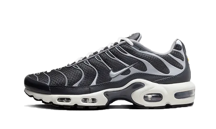 Nike Air Max Plus SE Greyscale Cool Grey - DZ2655-001