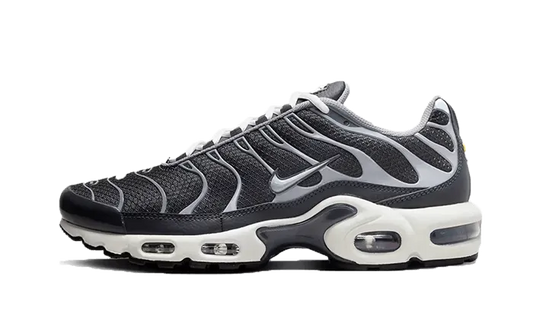 Nike Air Max Plus SE Greyscale Cool Grey - DZ2655-001