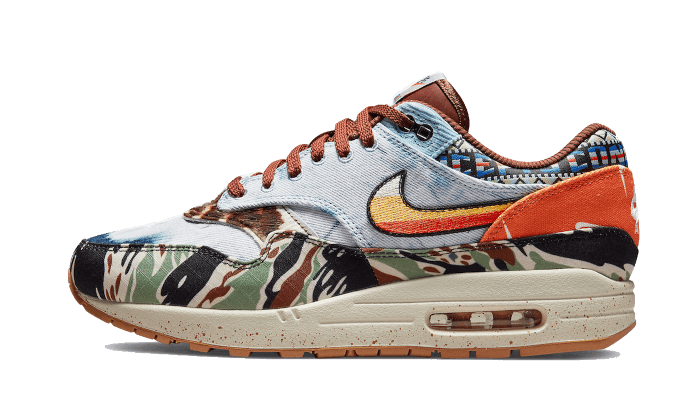 Nike Nike Air Max 1 SP Concepts Heavy - DN1803-900