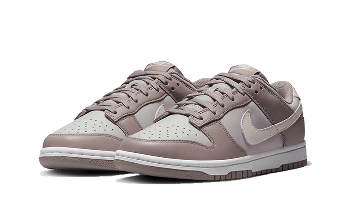 Nike Nike Dunk Low Bone Beige - FD0792-001