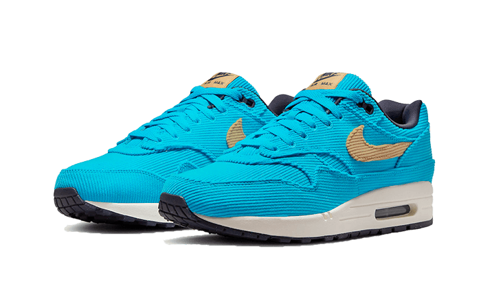 Nike Nike Air Max 1 Corduroy Baltic Blue - FB8915-400