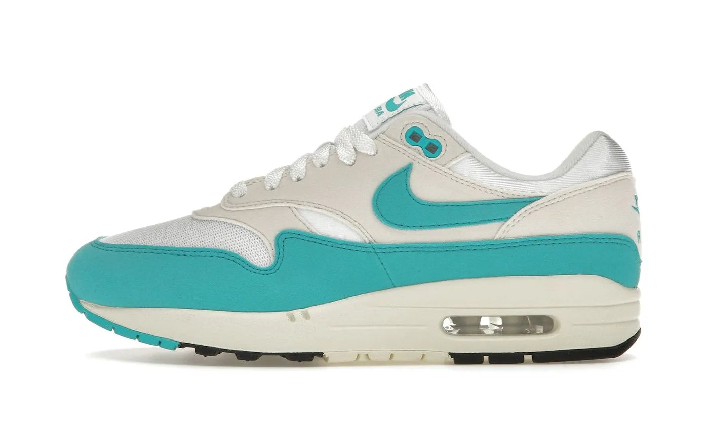 Nike Air Max 1 Dusty Cactus - DZ2628-107