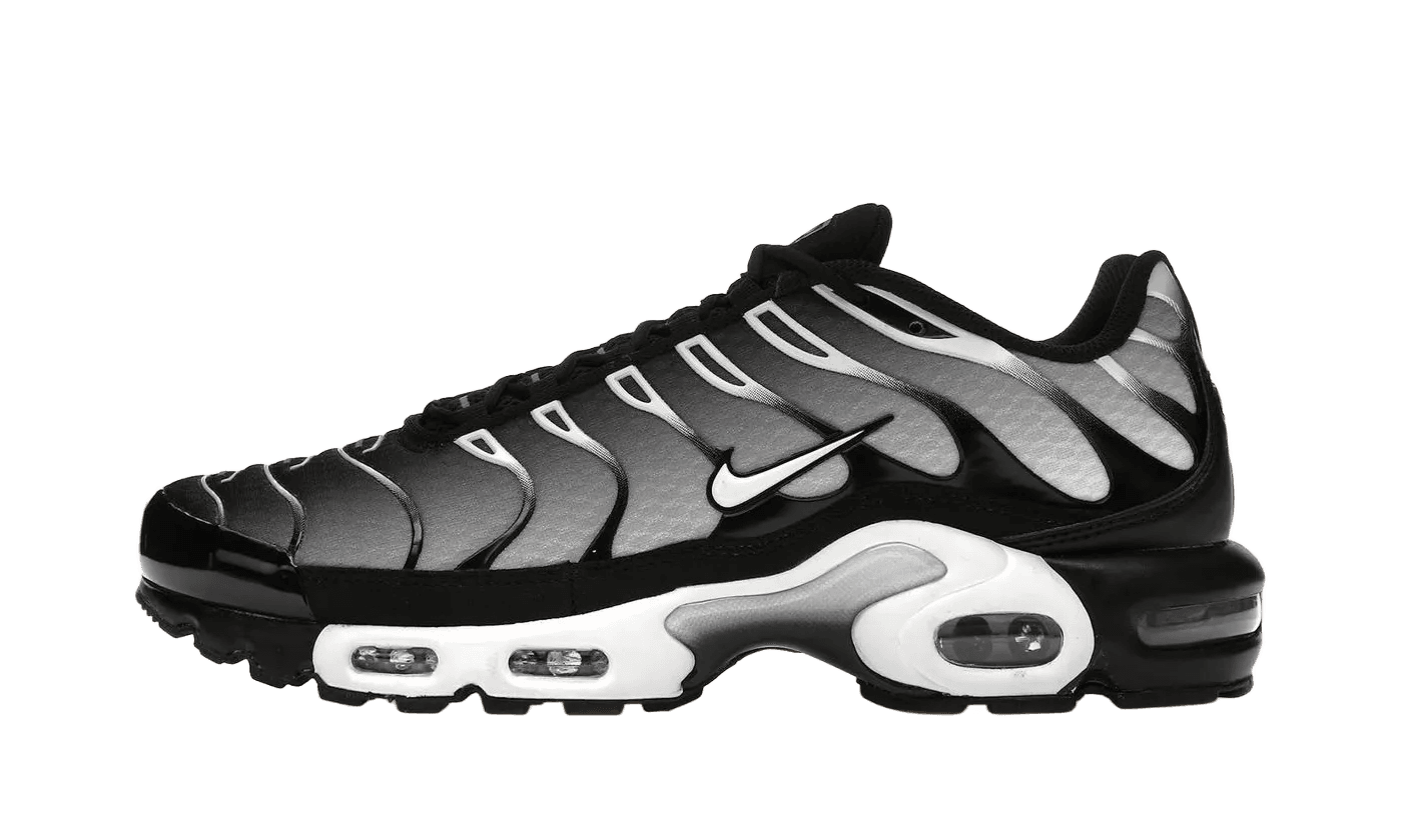 Nike Air Max Plus Black Silver White - DM0032-003