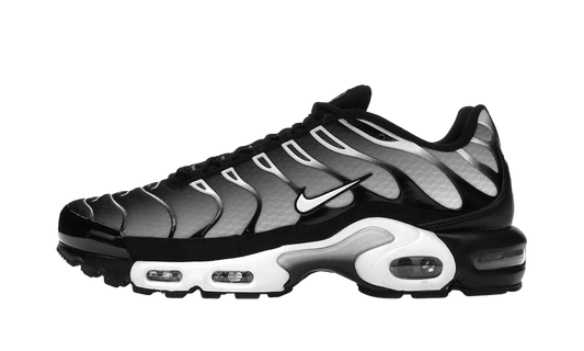 Nike Air Max Plus Black Silver White - DM0032-003