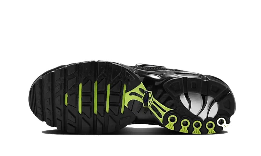 Nike Nike Air Max Plus Black Volt Silver - FJ2591-001