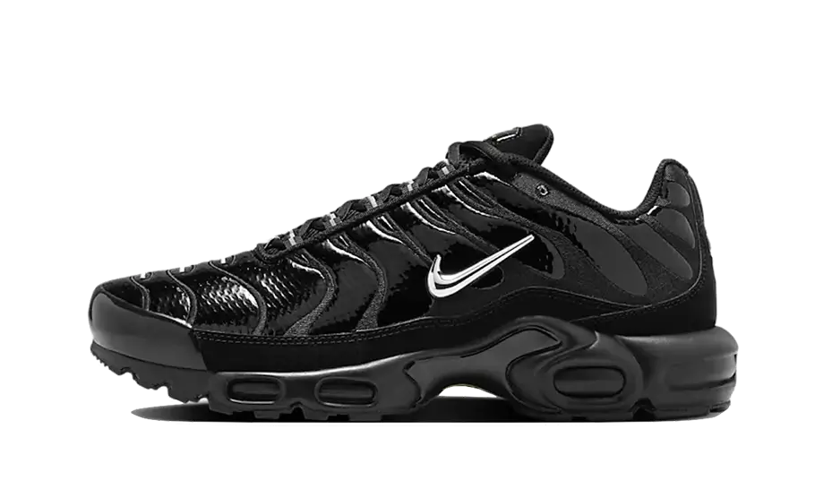 Nike Nike Air Max Plus Black Volt Silver - FJ2591-001