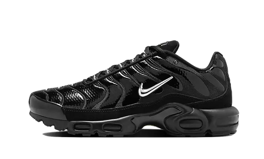 Nike Nike Air Max Plus Black Volt Silver - FJ2591-001