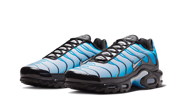 Nike Nike Air Max Plus Blue Gradient - FQ0204-010