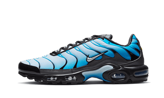 Nike Nike Air Max Plus Blue Gradient - FQ0204-010