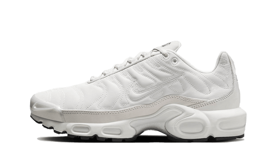 Nike Nike Air Max Plus Reflective Platinum - FZ4342-001