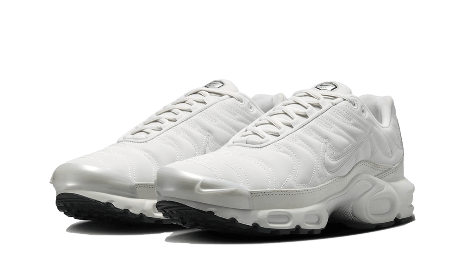 Nike Nike Air Max Plus Reflective Platinum - FZ4342-001