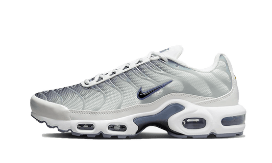 Nike Nike Air Max Plus Sail Grey - FQ2892-100