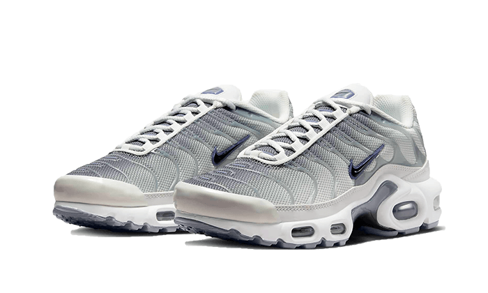 Nike Nike Air Max Plus Sail Grey - FQ2892-100