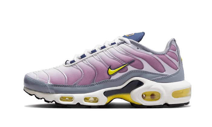 Nike Nike Air Max Plus Violet Dust - FN8007-500