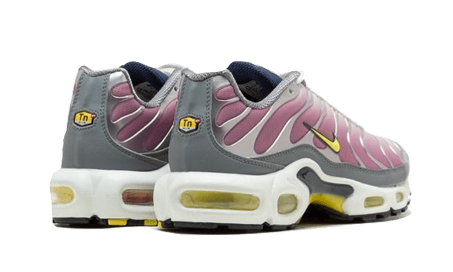 Nike Nike Air Max Plus Violet Dust - FN8007-500