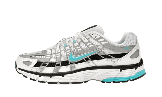 Nike P-6000 Dusty Cactus - CD6404-103